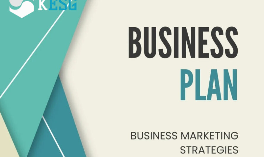 프랜차이즈 본점, 회사 설립 절차